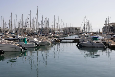 Serene Marina View