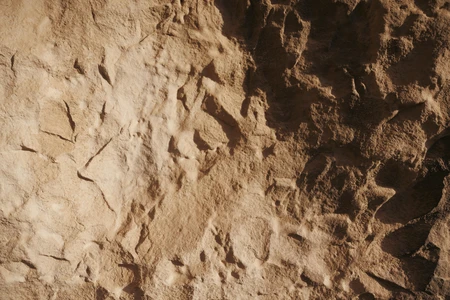 Textured Rock Surface