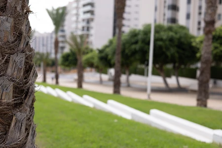Urban Greenery Scene