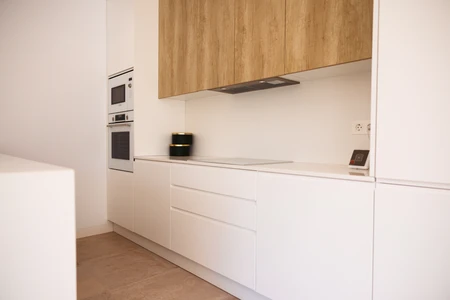 Modern Kitchen Interior