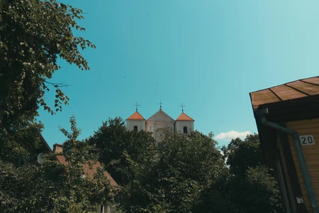 Church Among Trees