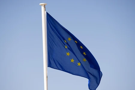 European Union Flag