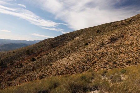 Rolling Hills Landscape