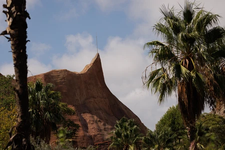 Desert Oasis