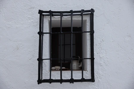 Rustic Window with Iron Bars