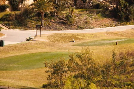 Sunny Golf Course Landscape