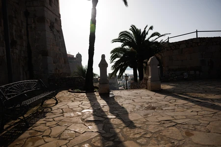 Sunlit Ancient Pathway