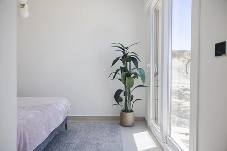 Minimalist Bedroom with Natural Light