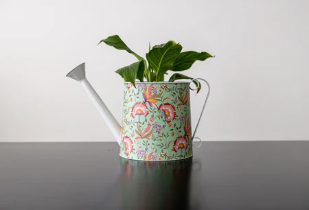 Decorative Watering Can with Plant