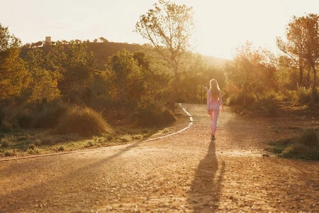 Sunset Walk in Nature