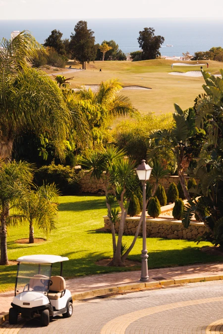 Scenic Golf Course View