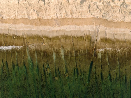 Aerial View of Sandy Beach and Green Waters