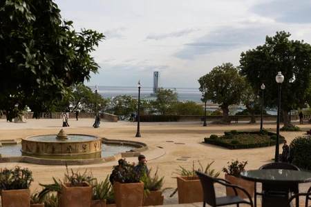Scenic Urban Park View