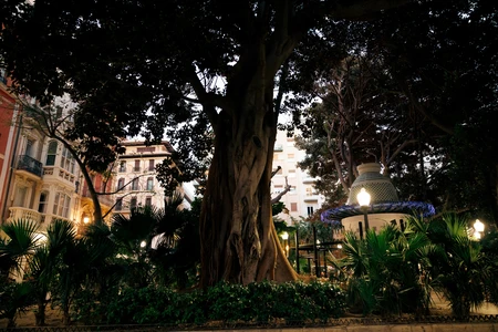 City Park at Dusk