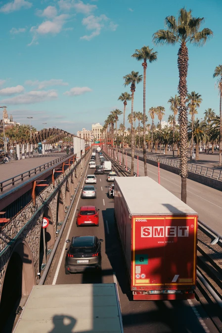 City Street with Palm Trees