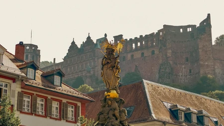 Historic Castle View