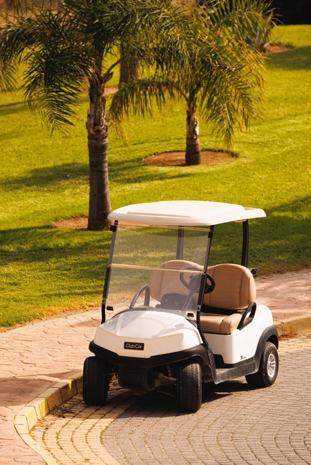 Golf Cart Under Palm Trees