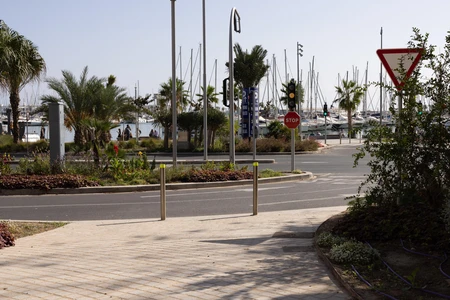 Marina View with Palm Trees