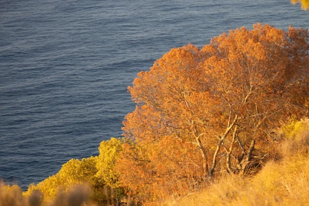 Autumn Coastline View