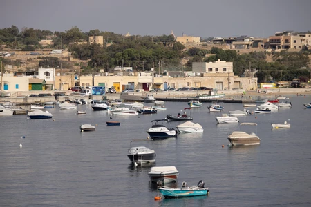 Marina with Boats