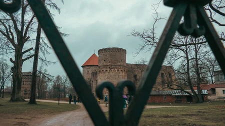 Historic Castle Through Iron Gates