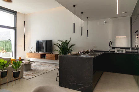 Modern Kitchen and Living Space