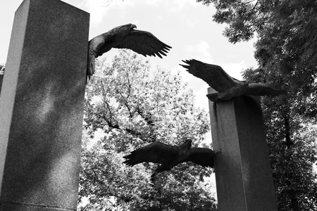 Sculptures in Flight