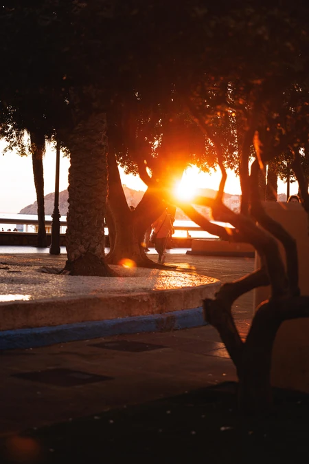 Sunlit Park Pathway