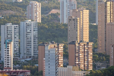 Urban Skyline with Forest Background