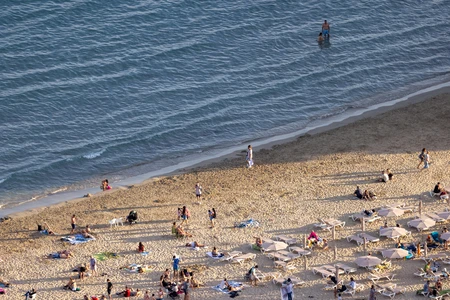 Busy Beach Scene