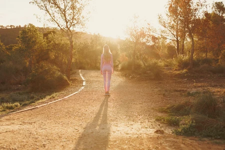 Sunlit Walk in Nature