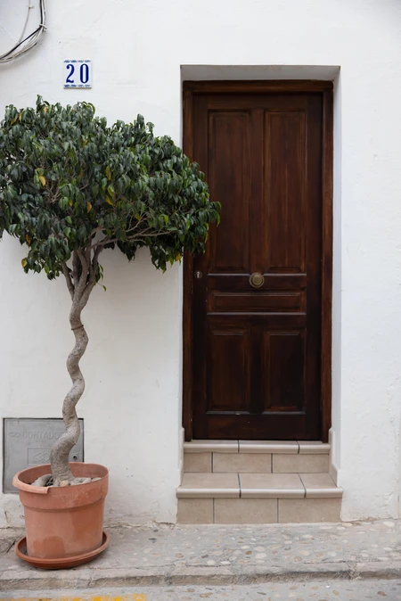 Rustic Doorway with Potted Plant