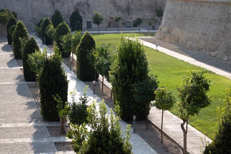 Serene Garden Pathway