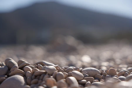 Pebble Beach Close-up