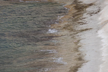 Serene Shoreline