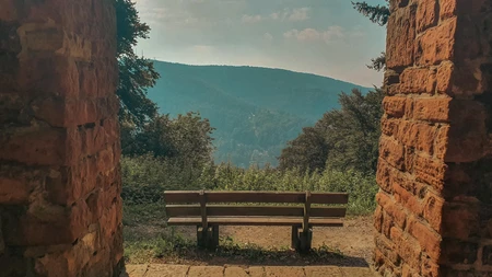 Scenic Mountain View