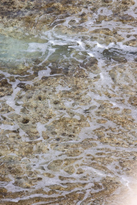 Shallow Water Texture