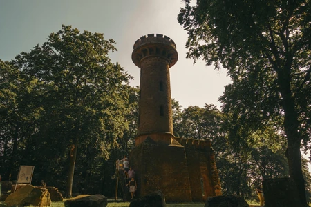 Historic Tower in Forest