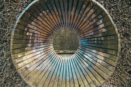Circular Wood Pattern