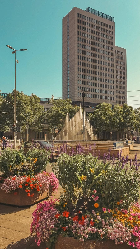 Urban Oasis with Floral Display