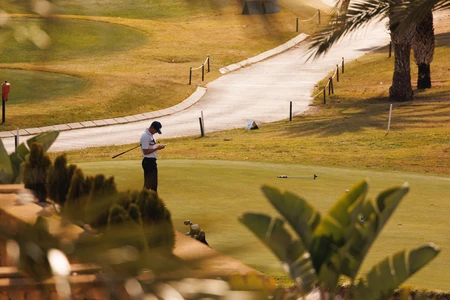 Sunlit Golf Course