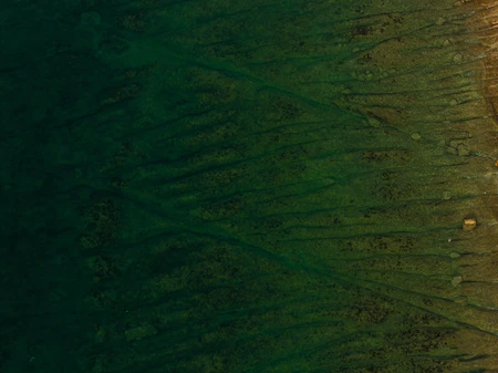 Rippling Sand Patterns