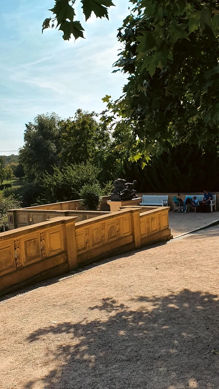 Sunny Park Scene