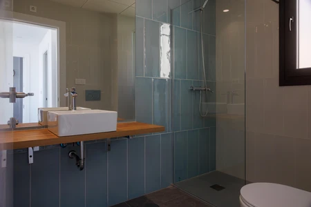 Modern Bathroom Interior