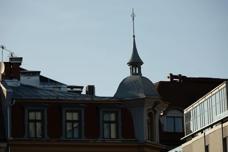 Historic Rooftops