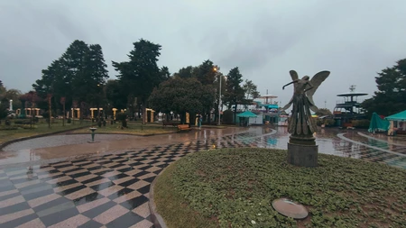 Rainy Park View