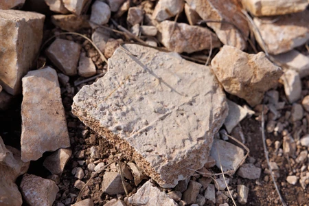 Close-up of Rocks