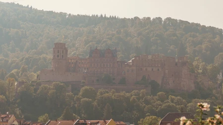 Historic Castle in Scenic Landscape