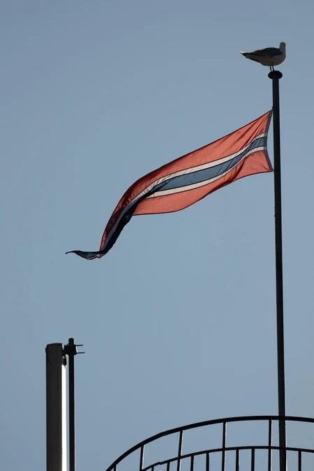 Flag in the Breeze