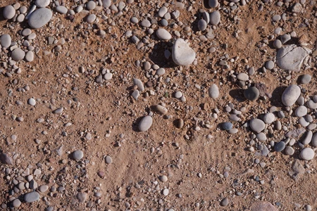 Pebble Texture on Sandy Beach